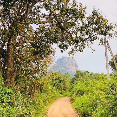 Hotel Sigiriya Kele Zewnętrze zdjęcie