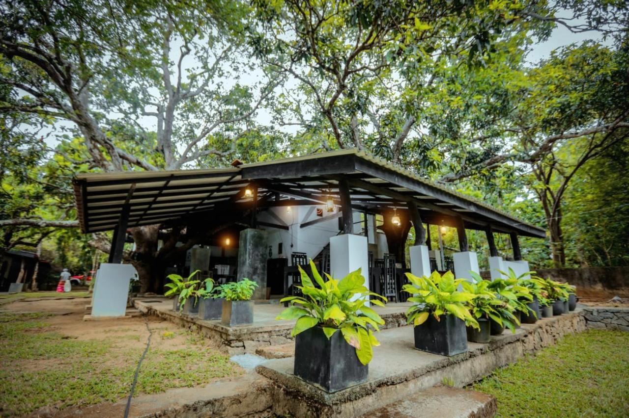 Hotel Sigiriya Kele Zewnętrze zdjęcie