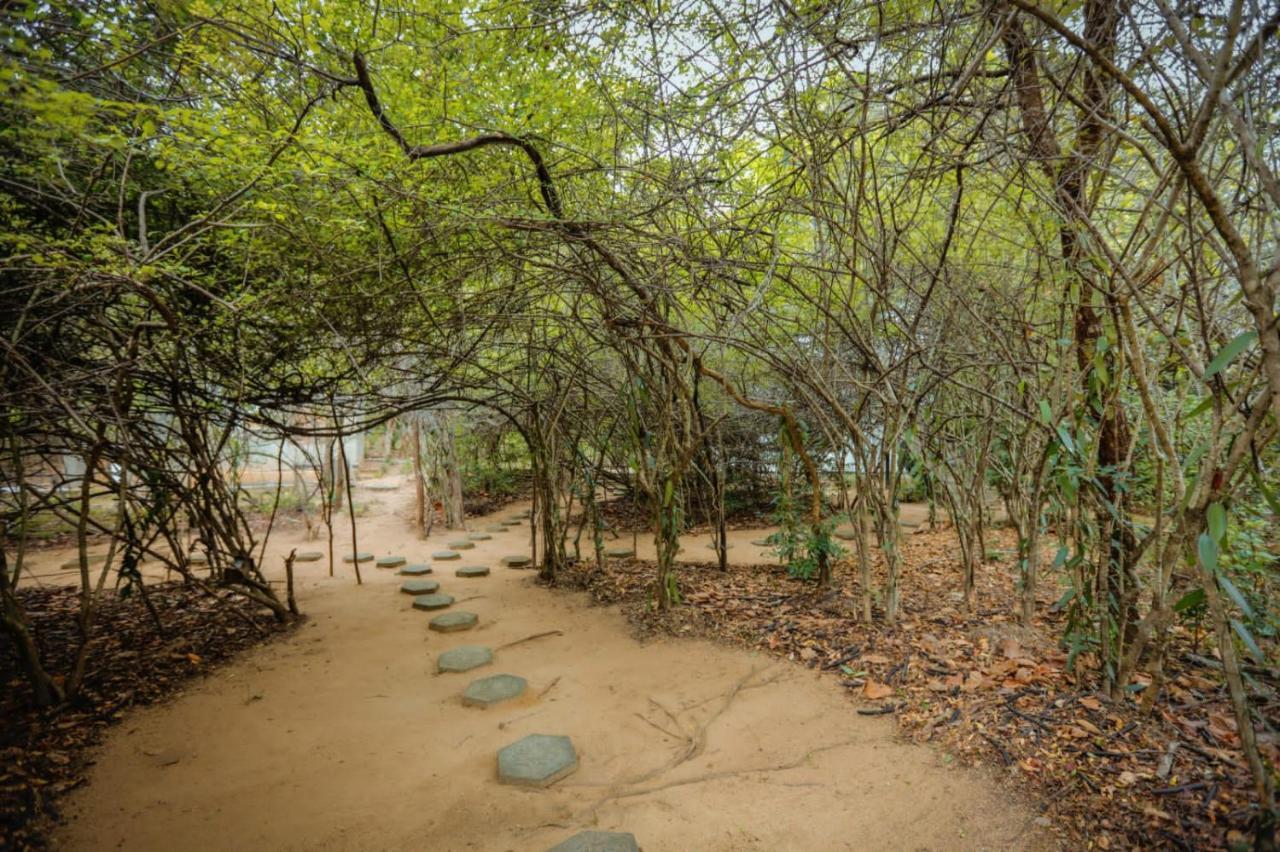 Hotel Sigiriya Kele Zewnętrze zdjęcie
