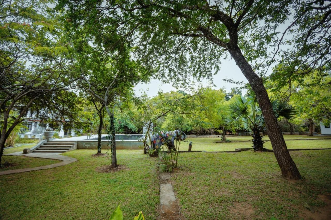 Hotel Sigiriya Kele Zewnętrze zdjęcie