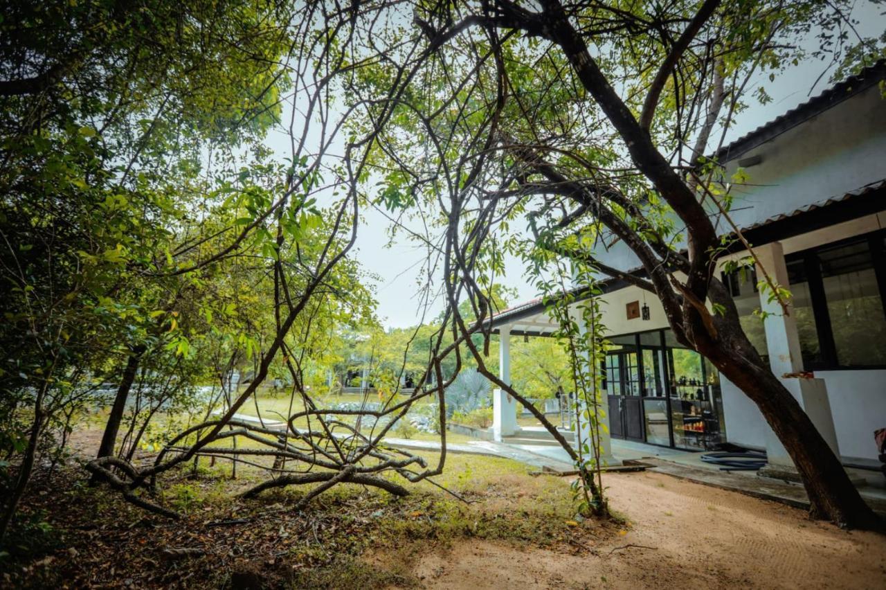 Hotel Sigiriya Kele Zewnętrze zdjęcie