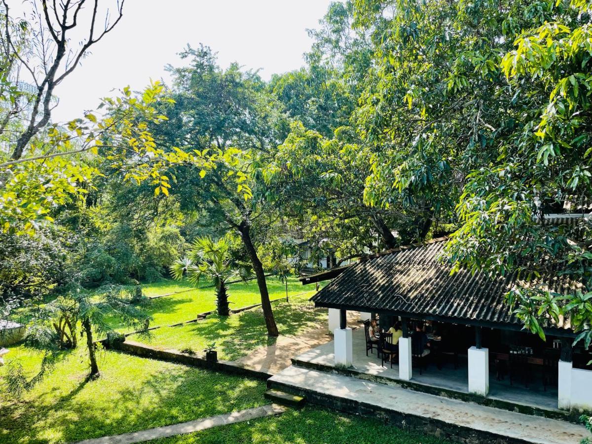 Hotel Sigiriya Kele Zewnętrze zdjęcie